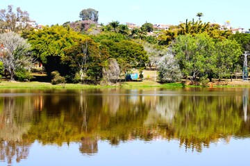 View of the lake and trees in the background