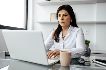 Brazilian business woman working on a laptop in a professional office