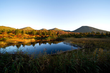 日本、青森県、早朝の睡蓮沼の紅葉