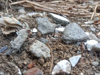 close up of small rocks on the ground