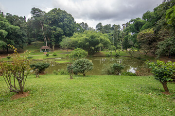 Landscape photograph in the fertile highlands in the subtropical climate. Jungle, fields and the...