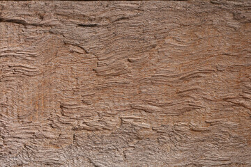 texture of plank, closeup of wood, rough wood texture,