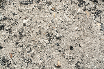 Ashes texture. Wood ash. Close up.