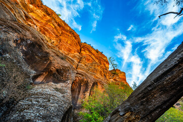 Zion National Park Clear Creek Wash while hiking in the fall of 2024