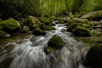 Waterfall in Great Smoky Mountain National Park