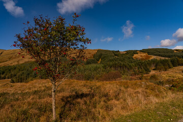 Obraz premium Views around the Isle of Mull, Scotland