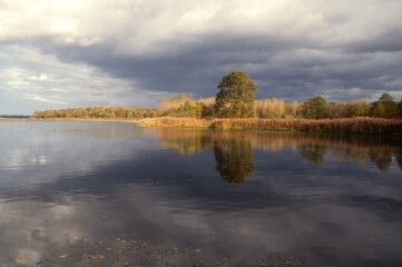 Etang de La Horre, Réserve naturelle nationale, Parc naturel régional de la forét d'Orient, 10, Aube, France