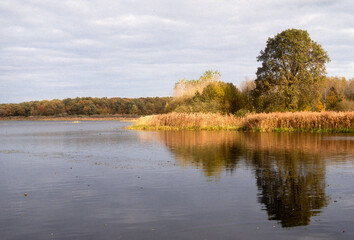 Etang de La Horre, Réserve naturelle nationale, Parc naturel régional de la forét d'Orient, 10, Aube, France