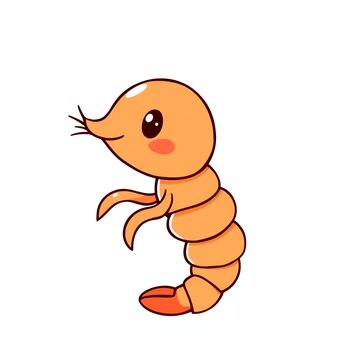 cartoon orange shrimp standing white background clip art preview