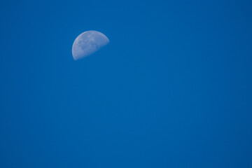 Fototapeta premium Carolina half moon in the morning with a clear blue sky