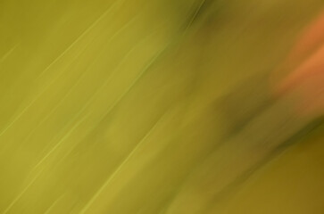 Abstract background with blurred green and yellow colors. Motion blur background.