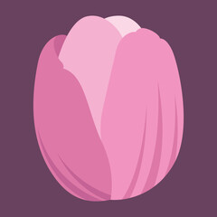 Vector flat-style tulip flower illustration isolated
