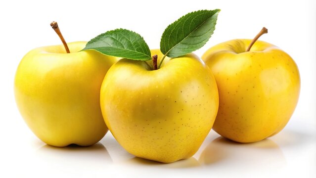 Yellow apples with leaves isolated on white background forced perspective