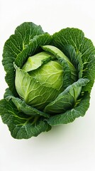 Obraz premium Fresh green cabbage resting on a white background