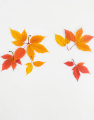 artificial autumn foliage made of plastic on a white background