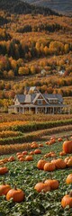 A stunning autumn landscape in a pumpkin farm in Vermont, visualized from real sources