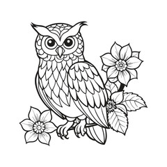 Obraz premium Owl vector illustration Coloring book for children