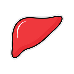 Human liver icon. Flat illustration of human liver vector icon for web design