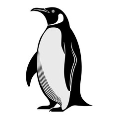 Obraz premium Detailed black silhouette of a penguin isolated on white background, side view. 