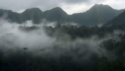Misty Morning in Braulio Carrillo National Park