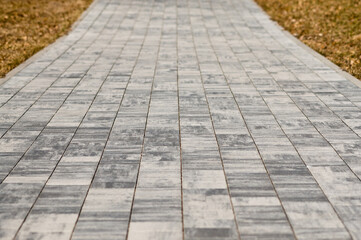 In the photo there is a path made of grey paving slabs