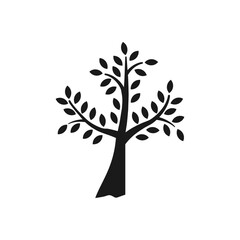 Obraz premium tree with leaves