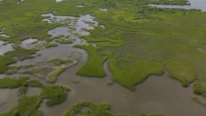 Natural wetland tidal marsh with wildlife near St Augustine Beach Florida next to residential homes along coastline AIA scenic Byway
