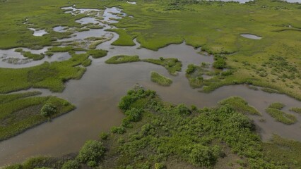Natural wetland tidal marsh with wildlife near St Augustine Beach Florida next to residential homes along coastline AIA scenic Byway