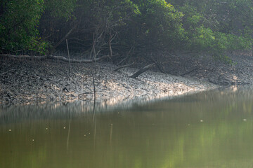 Sundarban