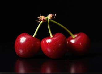 Three vibrant red cherries glisten under soft lighting against a dark backdrop, showcasing their rich color and natural beauty