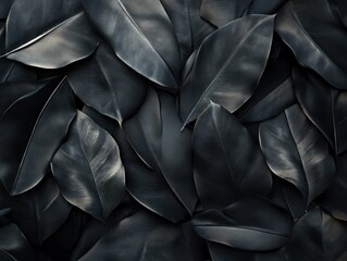 Fototapeta premium Dark and Mysterious Black Leaves
