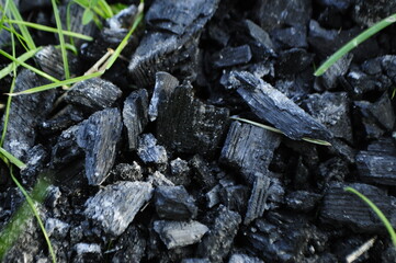 Coal