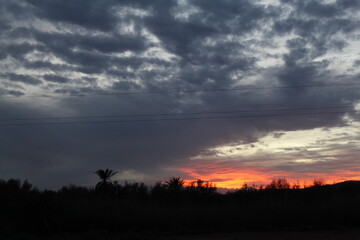 A dramatic sunset with a cloudy sky, featuring a vibrant orange and red horizon. Silhouettes of trees and a palm tree create a striking contrast against the sky