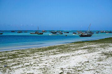 Obraz premium fisher baots at the coast of zanzibar