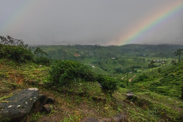 Landscape photograph in the fertile highlands in the subtropical climate. Jungle forest, fields and...