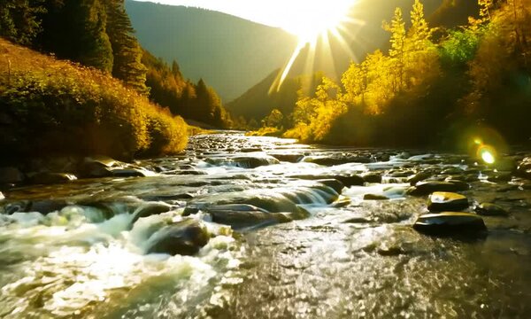 Golden Sunlight Reflecting on a Mountain Stream