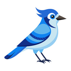 blue jay bird flat style isolated on white background. Vector illustration