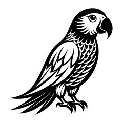 Obraz premium parrot icon Black and white logo, bird silhouette, engraving style. Pet character. Vector illustration