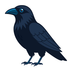 Fototapeta premium raven bird flat style isolated on white background. Vector illustration