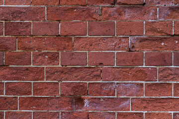 The background is a red brick. Brick wall background. The red brick wall