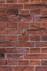 The background is a red brick. Brick wall background. The red brick wall