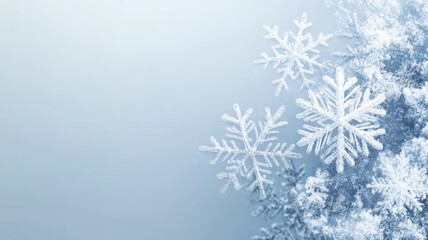 Close-up of snowflakes with intricate patterns on blue background