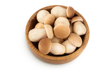 Fresh porcini cep mushroom in wooden bowl isolated on white background. Top view. Flat lay