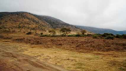 scenic landscape in the serengeti
