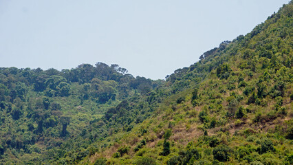 Fototapeta premium scenic landscape in the serengeti