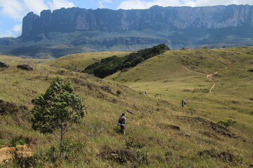 paisagem no caminho do trekking ate o monte roraima, parque nacionla canaima, venezuela. 