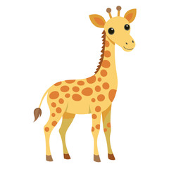 Obraz premium Cute Giraffe on White Background