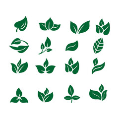a collection of green leaves and leaves with the word  leaf  on them.