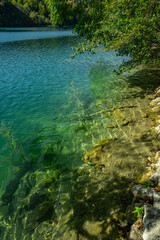 Beautiful peaceful landscape with forest lake. The tranquil transparent waters of lake in the background. Beautiful nature lake. Landscape Reflection off of a clear lake water surface.