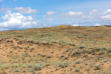 A desert area covered with grass. Republic of Tyva. Russia